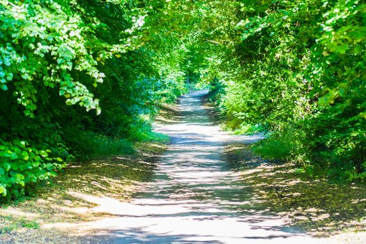 landscape of the Cotswolds in beautiful summer sunshine UK