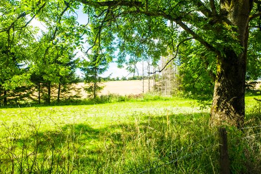 landscape of the Cotswolds in beautiful summer sunshine UK