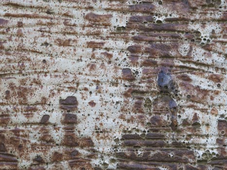 brown white rusty ceramic wall decorative structure abstract background
