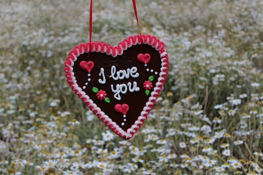 The picture shows gingerbread heart in front of a field with marguerites with the text I love you