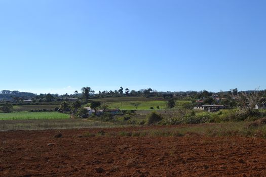 Agricultural fields in Vinales, Cuba. Nature, landscape, travel and tourism.