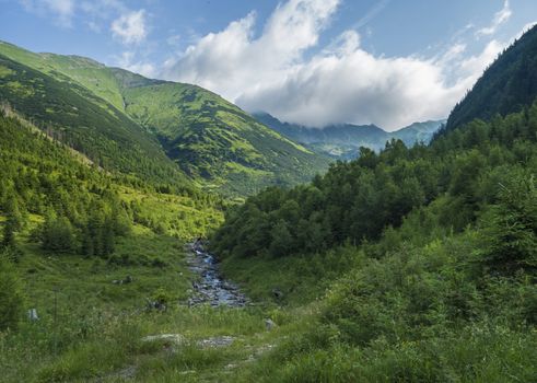 Beautiful mountain landscape with stream Smrecianka creek grass, spruce trees, dwarf scrub pine and mountain peaks. Ziarska dolina, Western Tatras mountains, Rohace Slovakia, summer, blue sky background.