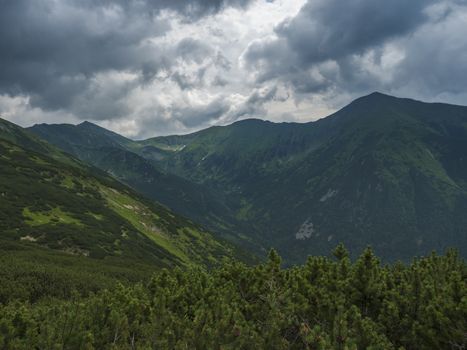 Beautiful mountain landscape with lush green grass, dwarf scrub pine and bare mountain peaks. Ziarska dolina, Western Tatras mountains, Rohace Slovakia, summer dramatic clouds sky background.
