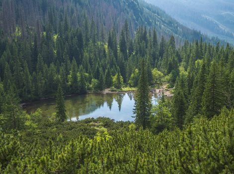 View on Tatliakovo jezero or pleso, mountain lake in Western Tatras mountains, Rohace Slovakia. Beautiful spruce forest and mountain peak landscape.