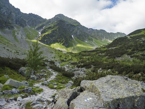 Beautiful mountain valley Smutna dolina with rock boulders, footpath trail, dwarf scrub pine and green mountain peaks. Western Tatras mountains, Rohace Slovakia, summer, blue sky background.
