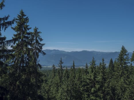 Mountain valley with meadow, spruce tree forest, green fileds and with blue misty slopes of low tatra mountais in the distance. viewed from western Tatras mountain trail. Summer blue sky, Slovakia