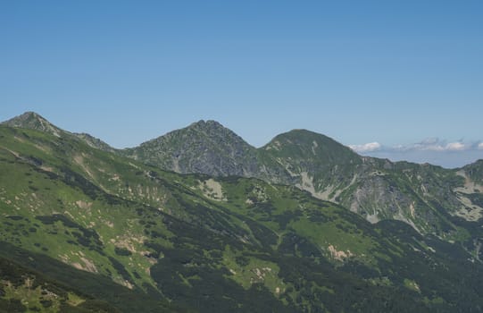 Beautiful mountain landscape of Western Tatra mountains or Rohace with hiking trail on ridge. Sharp green grassy rocky mountain peaks with scrub pine and alpine flower meadow. Summer blue sky background.