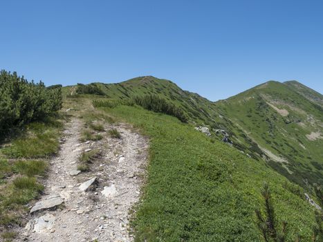 Beautiful mountain landscape of Western Tatra mountains or Rohace panorama. Sharp green grassy mountain peaks with dwarf scrub pine and hiking trail on ridge. Summer blue sky background.