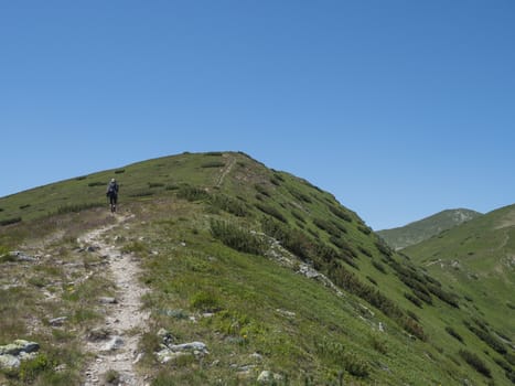 Beautiful mountain landscape of Western Tatra mountains or Rohace with man hiker with backpack hiking trail on ridge. Sharp green grassy rocky mountain peaks with scrub pine. Summer blue sky background.