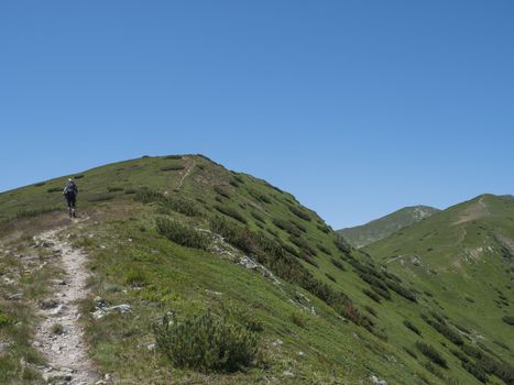 Beautiful mountain landscape of Western Tatra mountains or Rohace with men hiker with backpack hiking trail on ridge. Sharp green grassy rocky mountain peaks with scrub pine. Summer blue sky background.