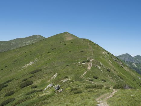Beautiful mountain landscape of Western Tatra mountains or Rohace with hiking trail on ridge. Sharp green grassy rocky mountain peaks with scrub pine and alpine flower meadow. Summer blue sky background.