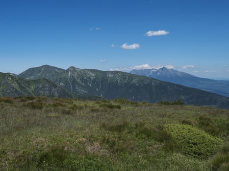 Beautiful mountain landscape of Western Tatra mountains or Rohace with hiking trail on ridge. Sharp green grassy rocky mountain peaks with scrub pine and alpine flower meadow. Summer blue sky background.
