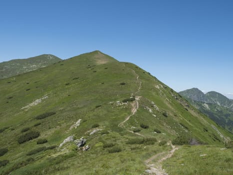 Beautiful mountain landscape of Western Tatra mountains or Rohace with hiking trail on ridge. Sharp green grassy rocky mountain peaks with scrub pine and alpine flower meadow. Summer blue sky background.