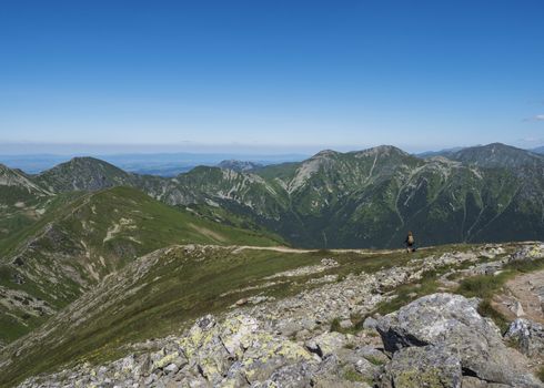 Mountain landscape of Western Tatra mountains with woman with bacpack and dog on hiking trail on Baranec. Sharp green grassy rocky mountain peaks with scrub pine and alpine flower meadow. Summer blue sky background.