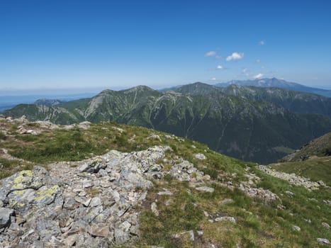 Mountain landscape of Western Tatra mountains or Rohace with view on high tatras with Krivan peak from hiking trail on Baranec. Sharp green grassy rocky mountain peaks with scrub pine and alpine flower meadow. Summer blue sky background.