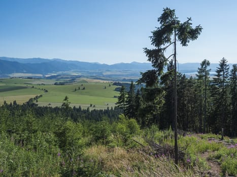 Mountain valley with meadow, forest, green fileds and with blue misty slopes of low tatra mountais in the distance. viewed from western Tatras mountain trail. Summer blue sky, Slovakia