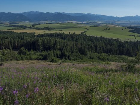 Mountain valley with meadow, forest, green fileds and with blue misty slopes of low tatra mountais in the distance. viewed from western Tatras mountain trail. Summer blue sky, Slovakia