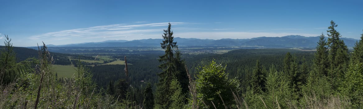 View from tatra mountains trail on valley with Tatranska lomnice and blue misty slopes of hills in the distance. Pine trees and coniferous forest hills, blue sky. Travel background, tatra mountain in summer, Slovakia.