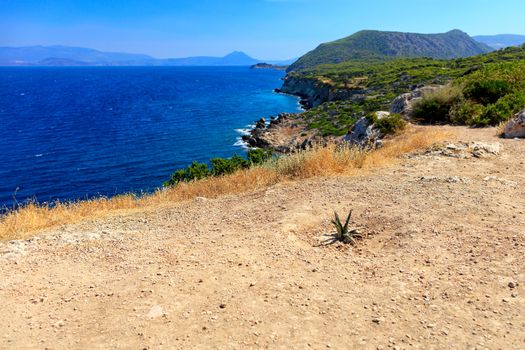 A prickly cactus has grown on a rocky soil road amid a blue lagoon on the coast of the Gulf of Corinth, image with copy space.