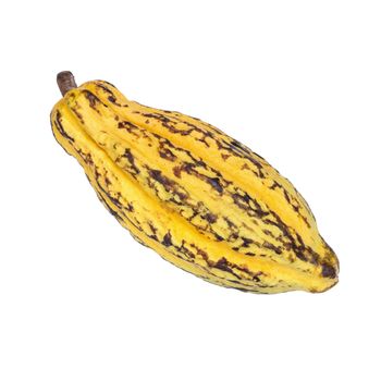 Cacao fruit, raw cacao beans, Cocoa pod isolated on white background.