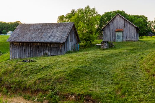 old wooden barns on yard with mowed lawn at summer evening.