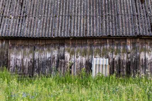 old barn wall with roof, green grass and selective focus blur at summer daylight.