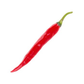 Red chili pepper isolated on a white background.