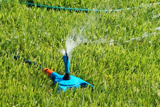 automatic watering the lawn in the park close-up