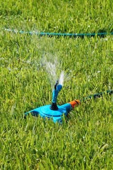 automatic watering the lawn in the park close-up