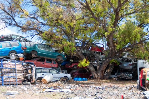 Old damaged cars on the junkyard waiting for recycling in Mexico City. Mexico