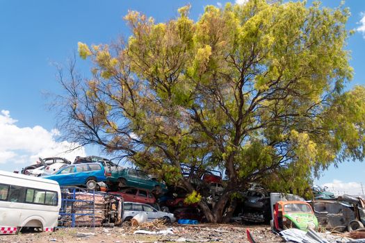 Old damaged cars on the junkyard waiting for recycling in Mexico City. Mexico