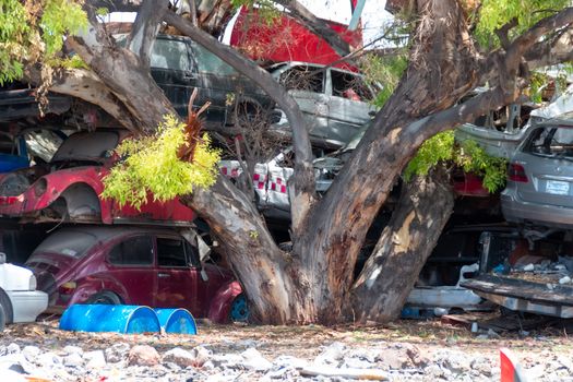 Old damaged cars on the junkyard waiting for recycling in Mexico City. Mexico