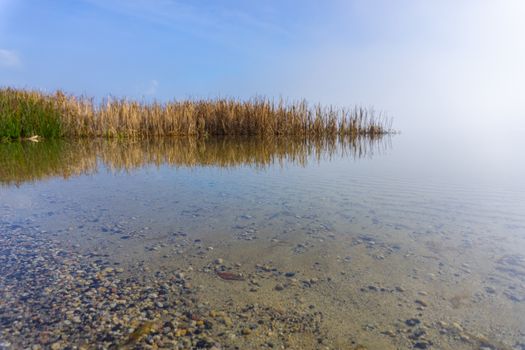 Lake Okaera edge with aquatic vegetation reflected in calm water as mist rises.