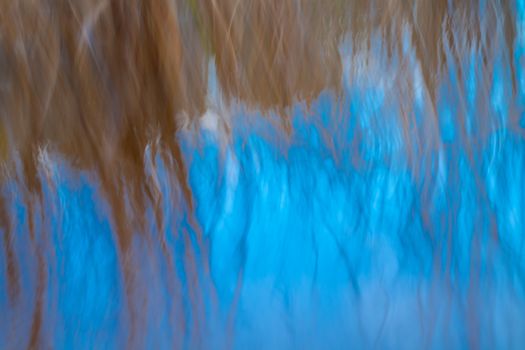 Abstract motion blur effect of raupo or bulrush growing in swampy lake edge of Lake Okareka, in Rotorua Lakes, Bay of Plenty, New Zealand.