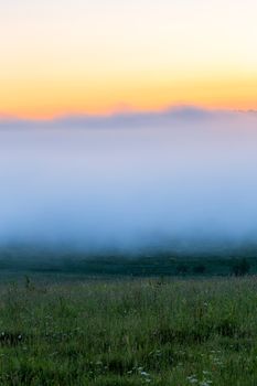 minimalistic wild grass meadow under dence fog without tree at summer morning.