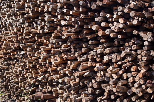 Firewood stacked and prepared for winter Pile of wood logs.