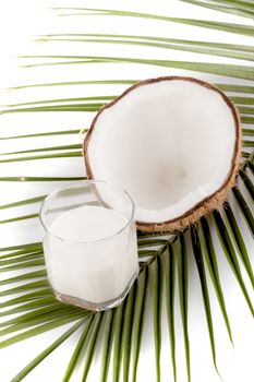 Coconut isolated on the white background. Tropical fruit coconut.