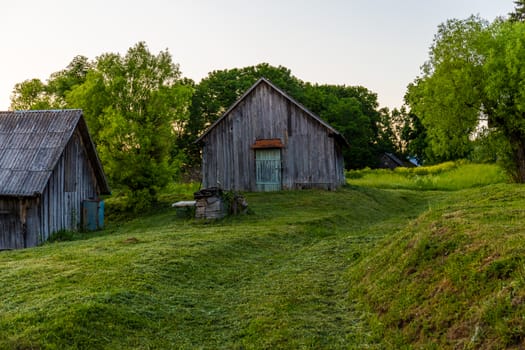 old wooden barns on yard with mowed lawn at summer evening.