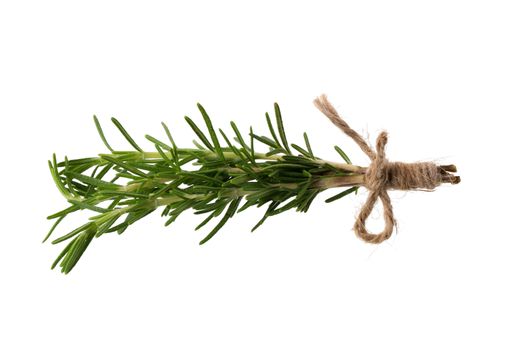 Fresh rosemary bunch isolated on white background.