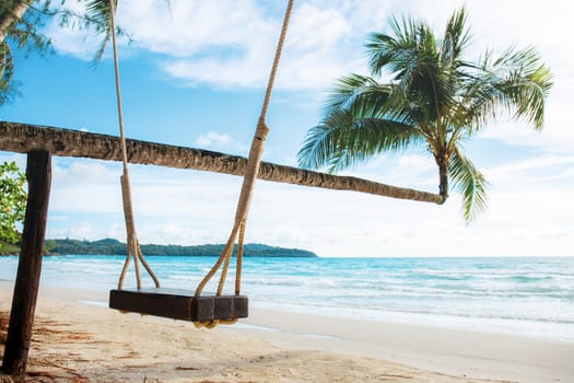 Swing on a tree at sea in the evening.