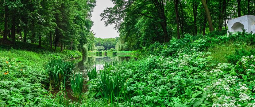 Bila Tserkva, Ukraine 06.20.2020. Alexandria park in Bila Tserkva, one of the most beautiful and famous arboretums in Ukraine, on a cloudy summer day.