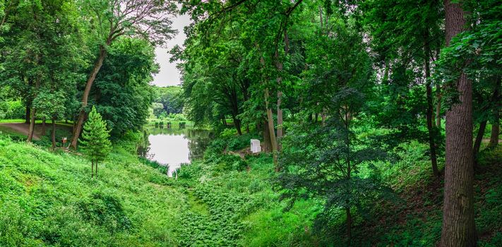 Bila Tserkva, Ukraine 06.20.2020. Alexandria park in Bila Tserkva, one of the most beautiful and famous arboretums in Ukraine, on a cloudy summer day.