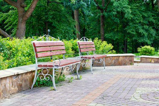 Wooden benches with metal frames stand at the edge of the old park on a cobblestone-paved area framed by green cut bushes under soft sunlight.