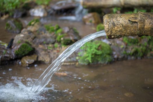 Natural water is flowing from bamboo pipe for agriculture.