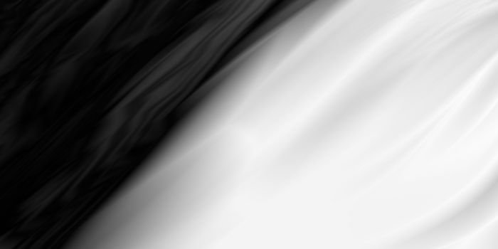 Abstract white and black background with copy space