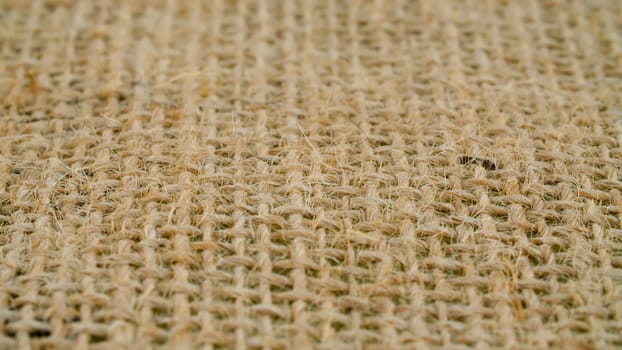 Extreme close up - coarse burlap of rare weave. . Texture, textile background. Macro shooting