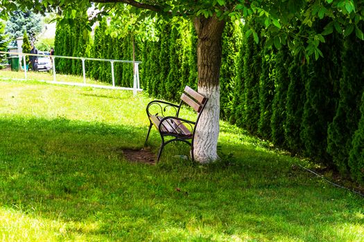 Empty bench near a tree trunk painted in white.