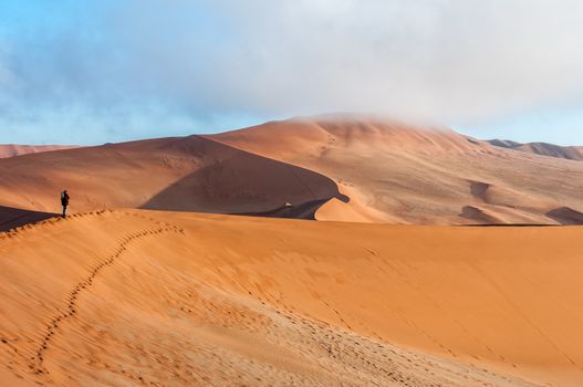 View from the sickle shaped sand dune next to Sossusvlei towards the north. Sand dunes and a tourist are visible