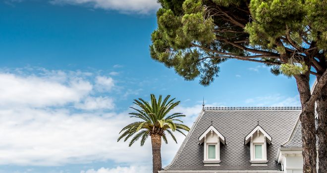 Palmier et Hôtel de luxe Blanc sur ciel bleu à Saint-Tropez en France