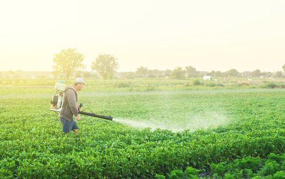 A farmer with a mist sprayer treats the potato plantation from pests and fungus infection. Use chemicals in agriculture. Harvest processing. Agriculture and agribusiness. Protection and care